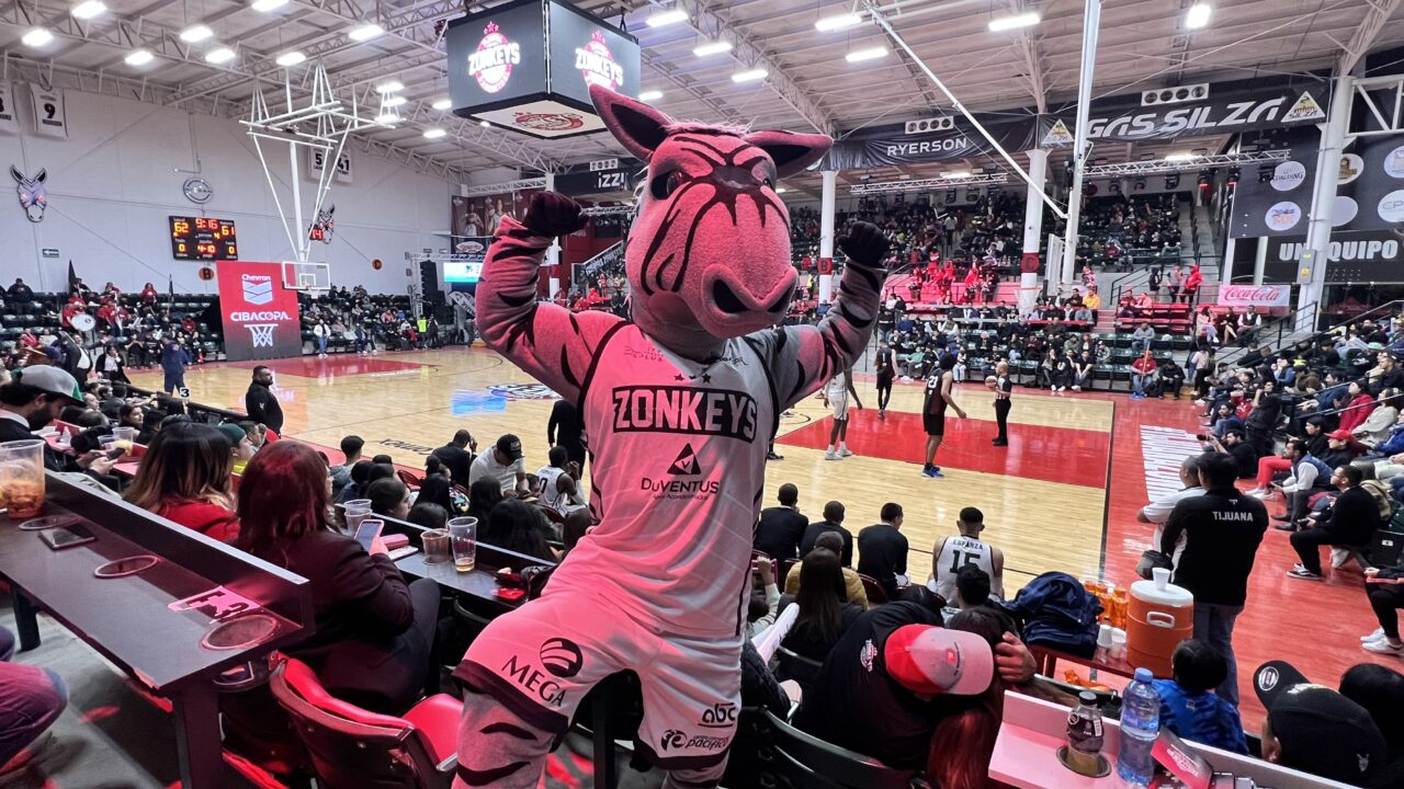 <strong>Zonkeys regresa a Casa ente halcones de Cd. Obregón</strong>