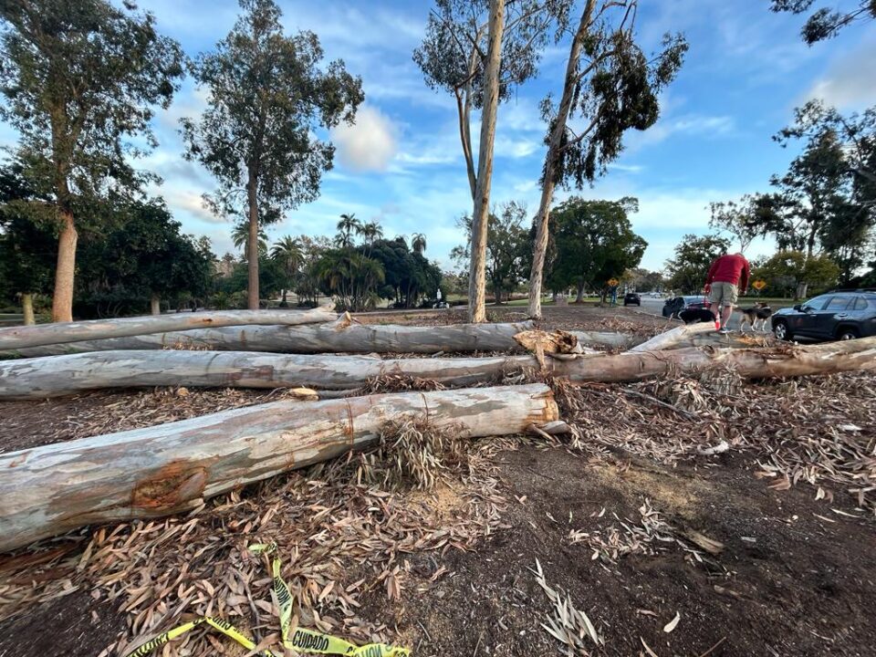 De norte a sur las tormentas en California, siguen provocando problemas y elevando el número de muertes