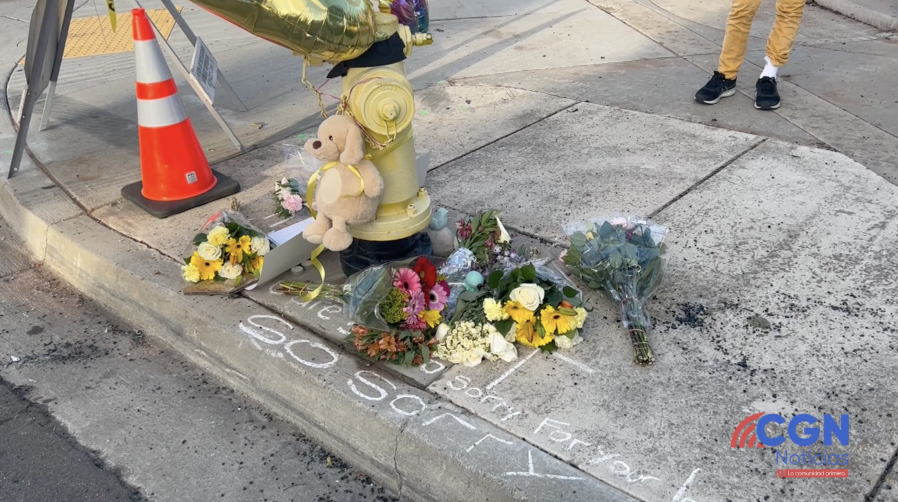 Niño muerto cuando una camioneta cae sobre un hidrante