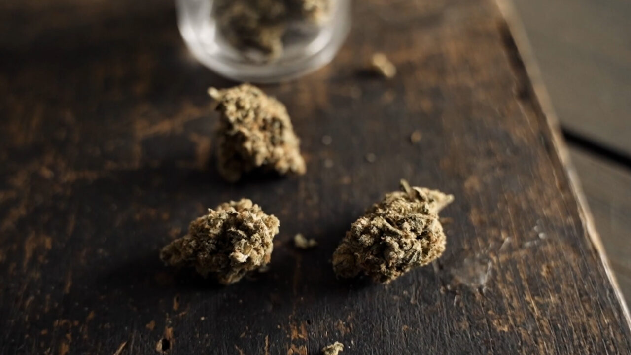 <strong>Políticos locales aseguran que han perdido millones de dólares al año por no vender marihuana.</strong>