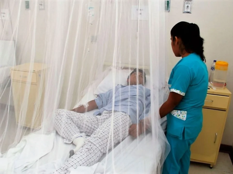 Crisis sanitaria en Perú: más de 110 fallecidos por dengue