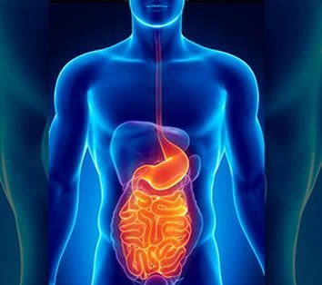 Enfermedades gastrointestinales están a la orden del día
