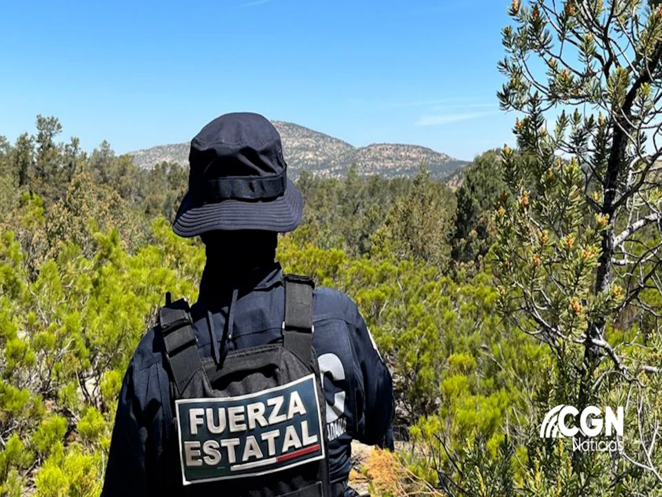 DESTRUYEN UN MILLÓN DE PLANTAS DE MARIHUANA