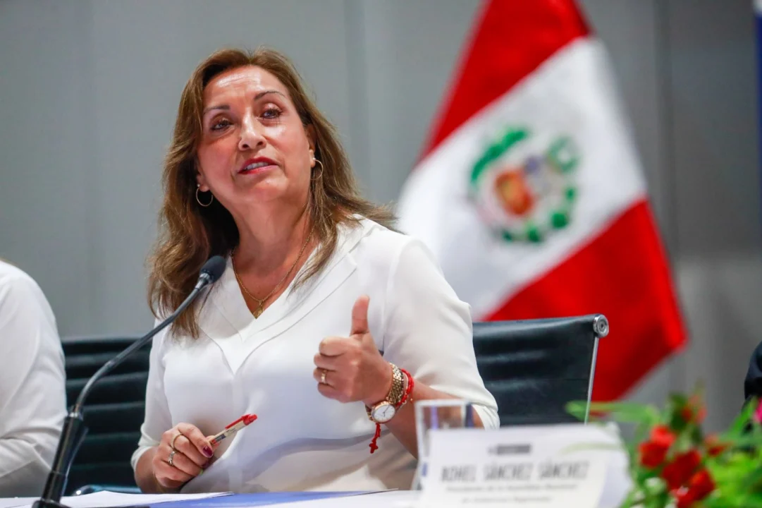 Libro de Dina Boluarte sobre Derechos Humanos registraría un 55% de plagio