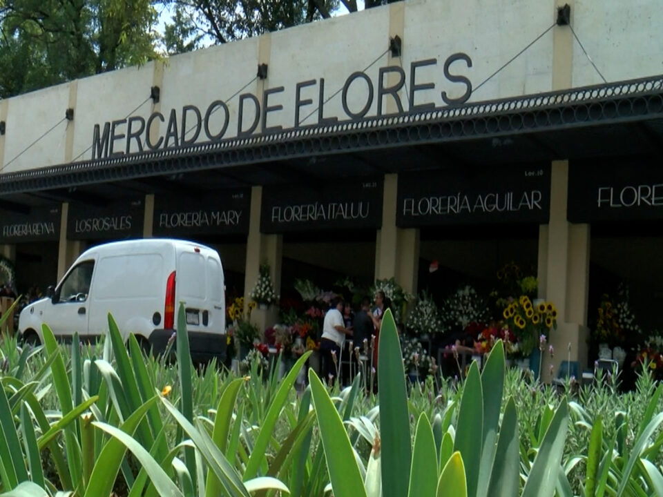 MERCADO DE FLORES DE CHAPULTEPEC. DÉCADAS COMPARTIENDO COLORES Y AROMAS A LOS VISITANTES DEL BOSQUE.