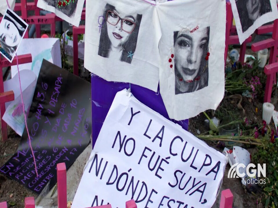 Feminicidios en Colombia. ¿Cada cuantas horas asesinan a una mujer?