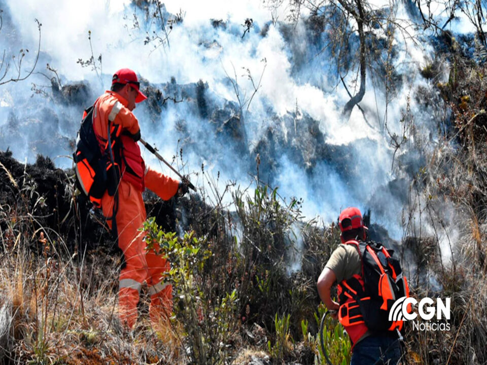 Tres muertos y once heridos deja un feroz incendio forestal en el Perú