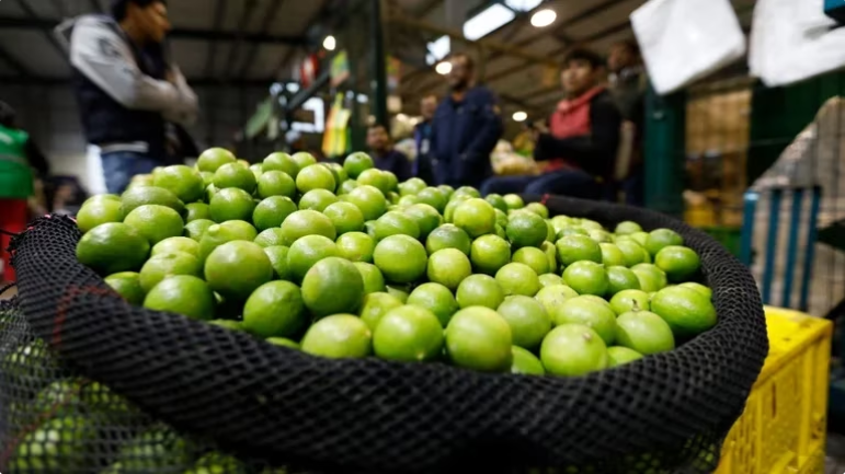 Crisis del limón: peruanos fueron estafados con venta limones falsos
