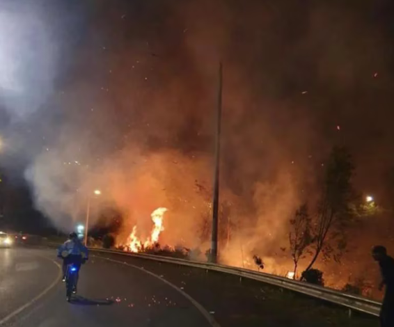 Mafias provocan incendios para lotear terrenos y venderlos