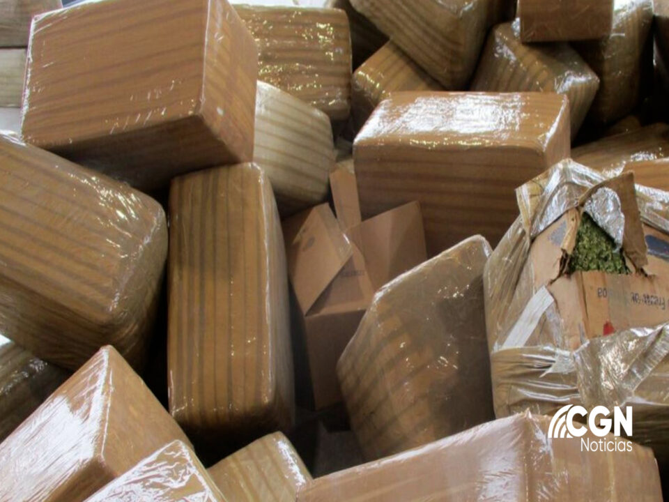 Decomisan cinco millones de dólares en marihuana en Otay Mesa