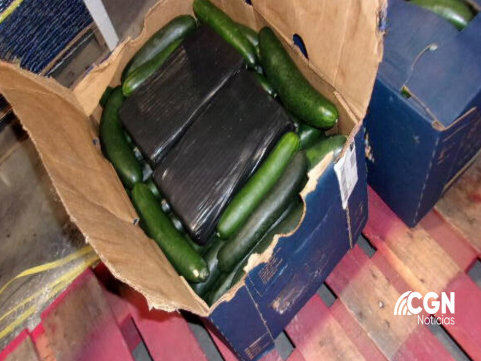 Escondían metanfetaminas y cocaína en Tijuana en pepinillos y tanque de gasolina