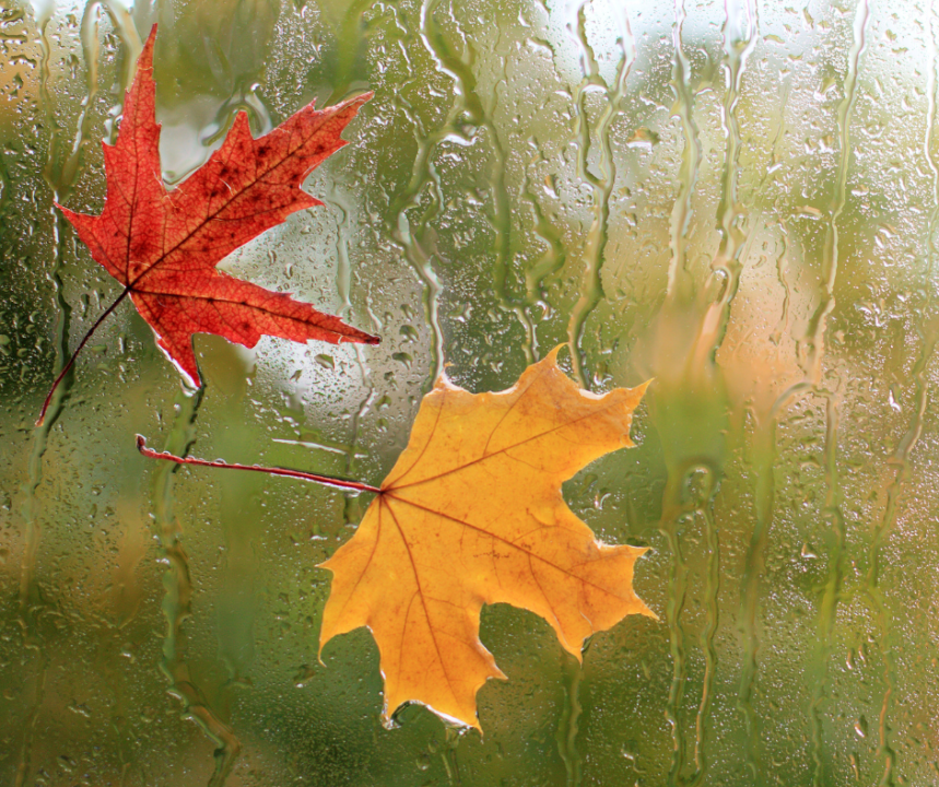 Clima en San Diego ¡Llegó en Otoño!  te damos recomendaciones