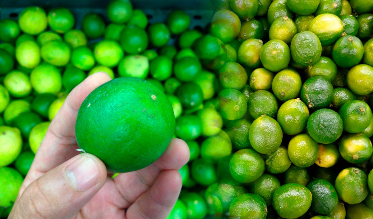 Roban sacos de limón valorizados en más de 67,5 mil dólares