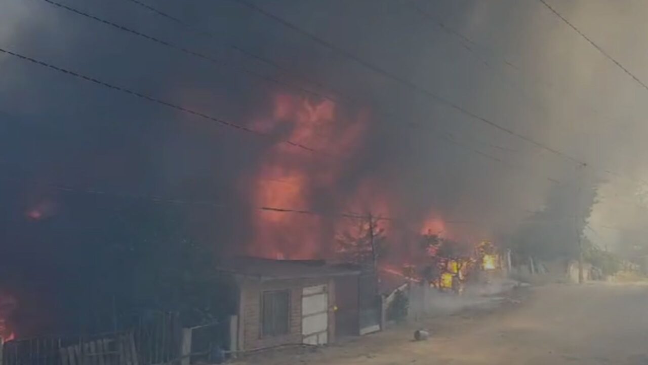 Incendios en Tijuana: Uno deja un muerto y otro consume 11 casas