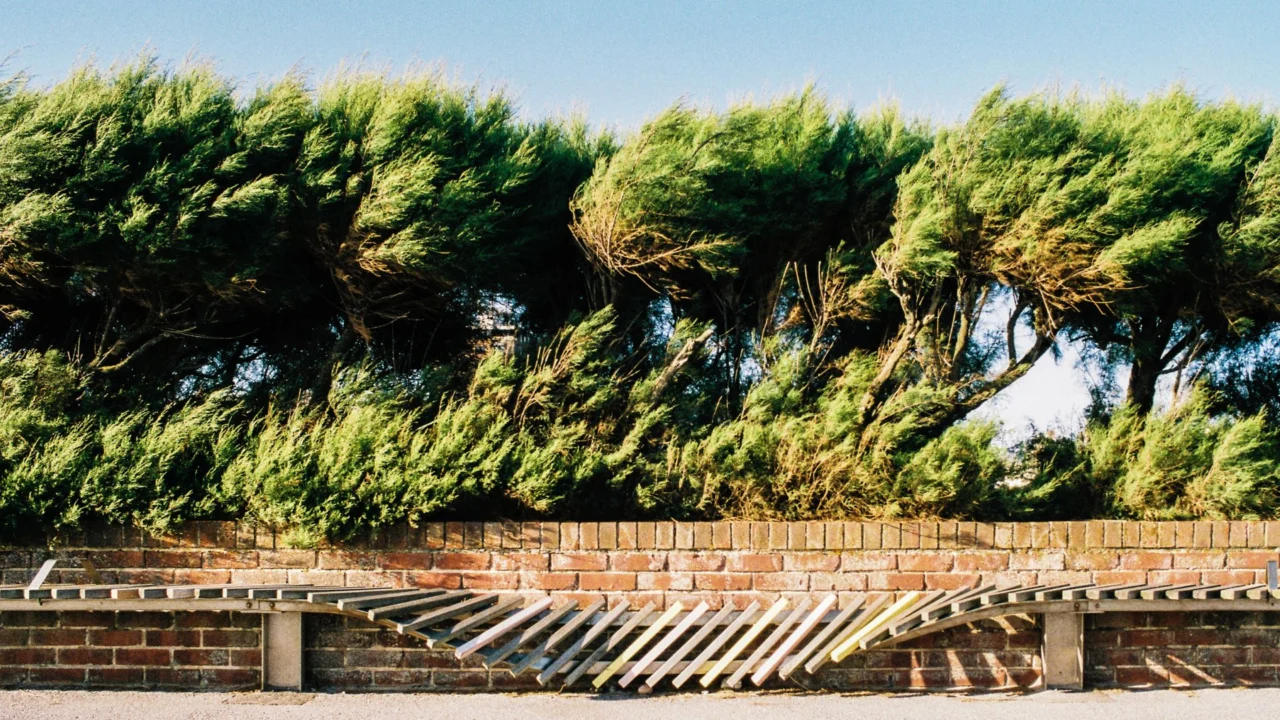 Antes de las lluvias, pronostican vientos de Santa Ana en Tijuana