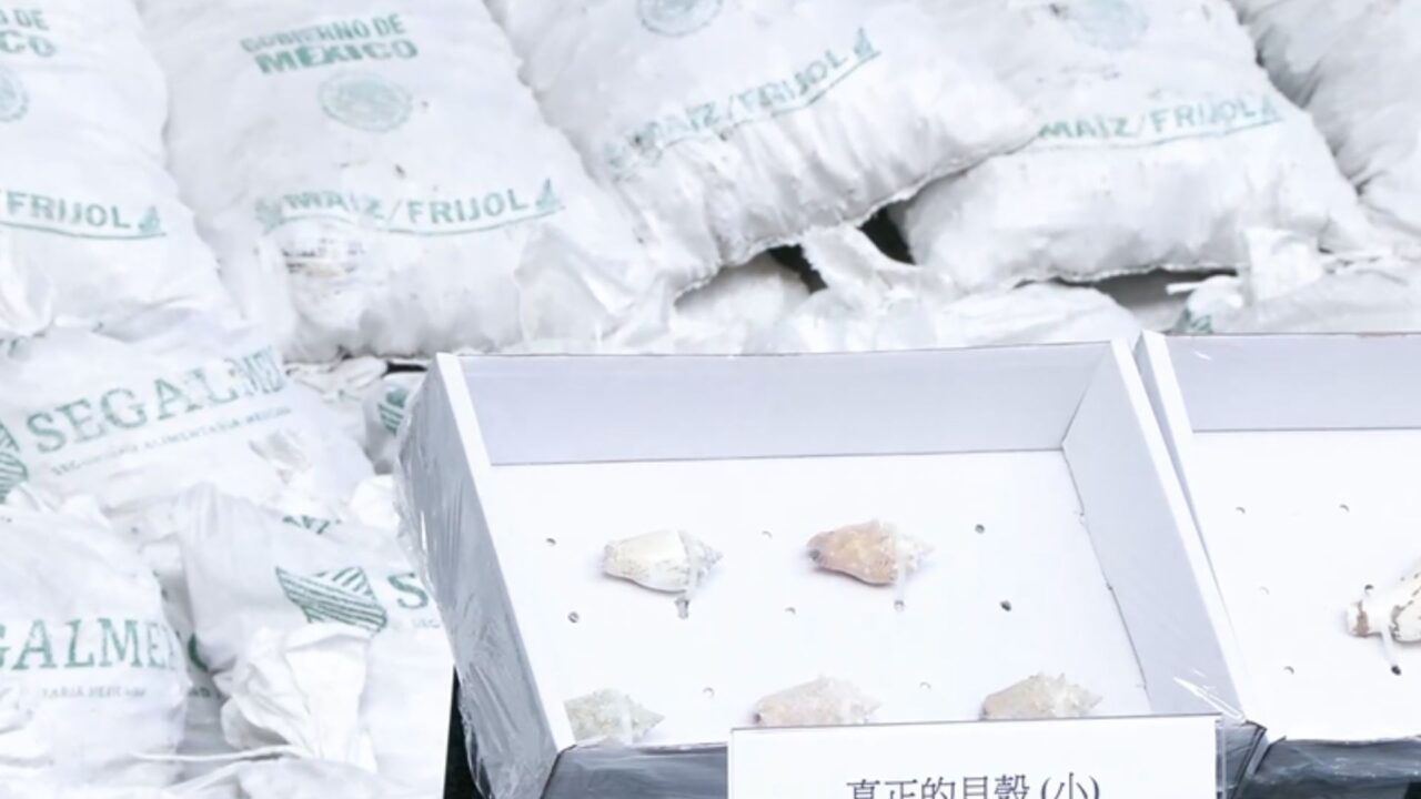 Decomisan en Hong Kong una tonelada de metanfetamina en costales de Segalmex