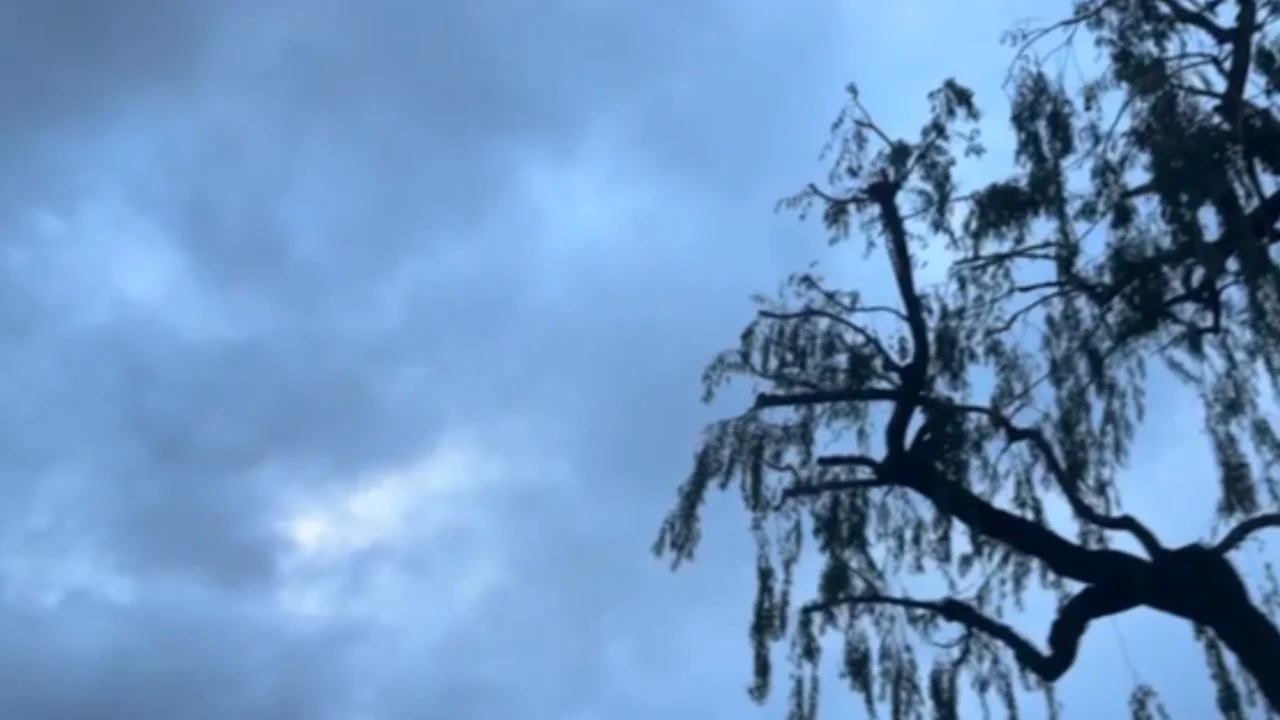 ¿Seguirá lloviendo el fin de semana? Este es el pronóstico para el clima en Tijuana