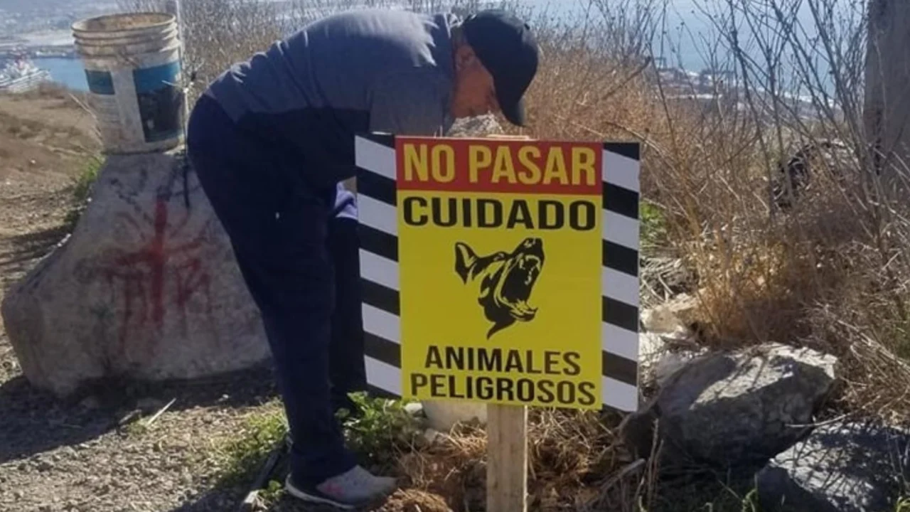 Advierten sobre perros ferales en el Cerro del Vigía; colocan trampas tras ataques