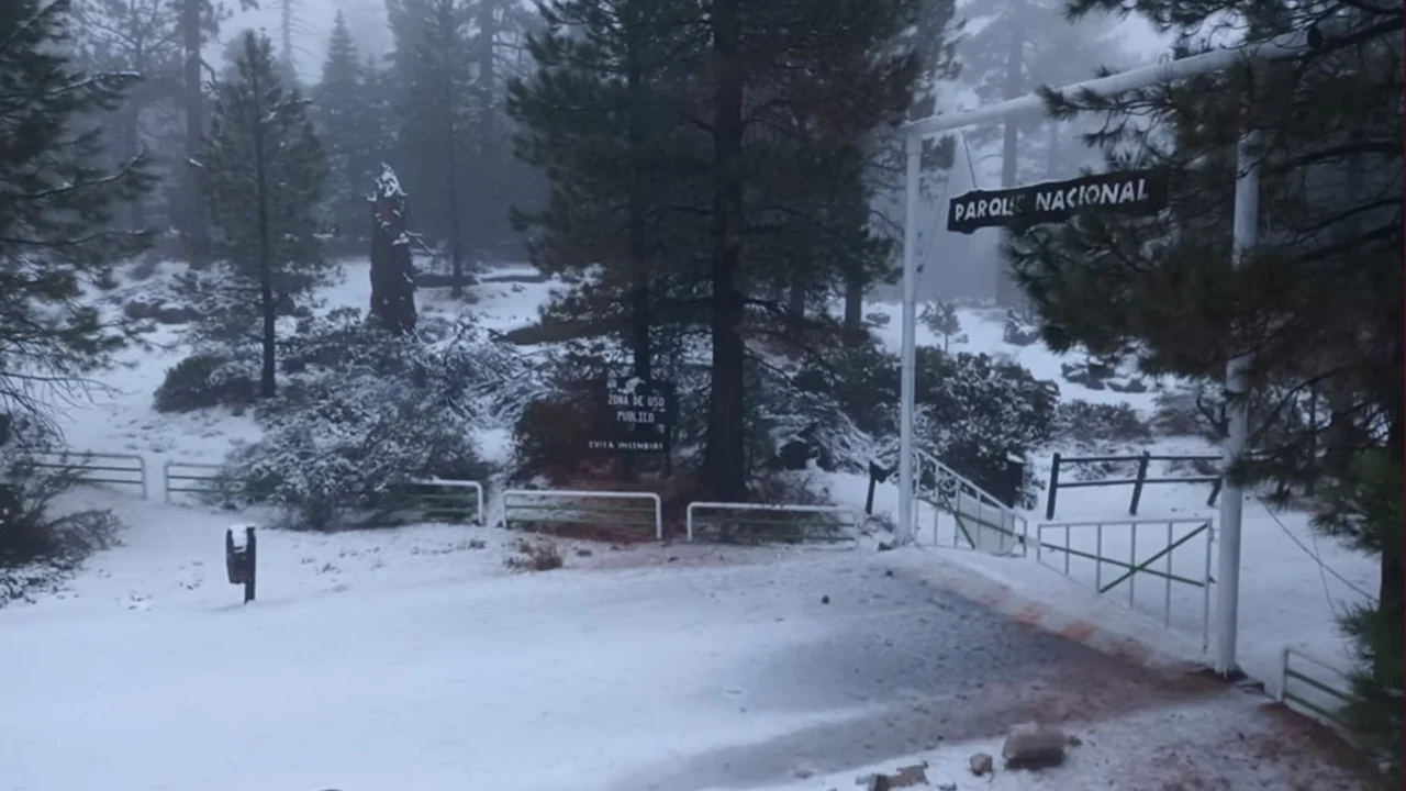 FOTOS: Con el invierno llega la primera nevada en San Pedro Mártir