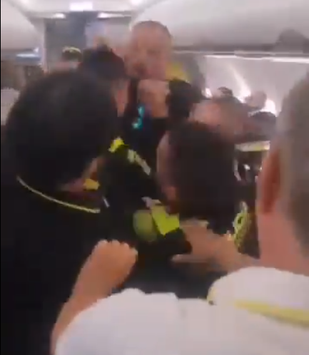 Ciudadano polaco fue expulsado de un vuelo por golpear a policías  