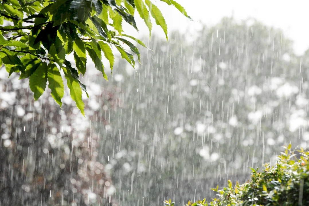 ¡Prepárate para las lluvias en Tijuana y San Diego!