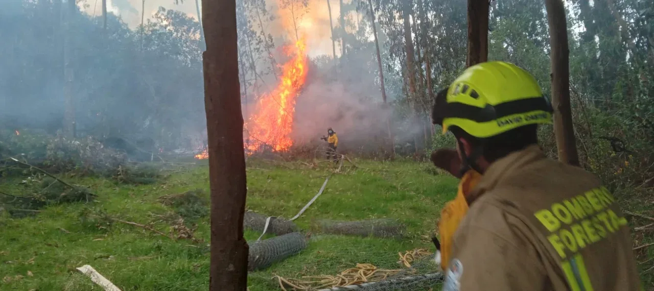 Colombia en alerta por incendios forestales