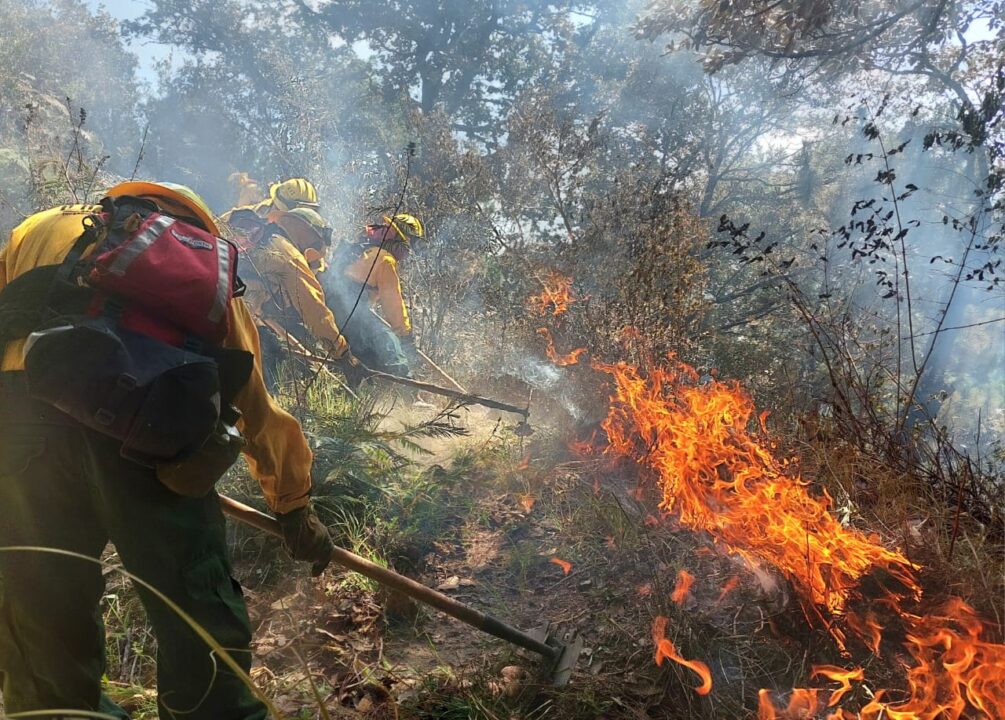 Incendios consumen montañas de Norte de Santander