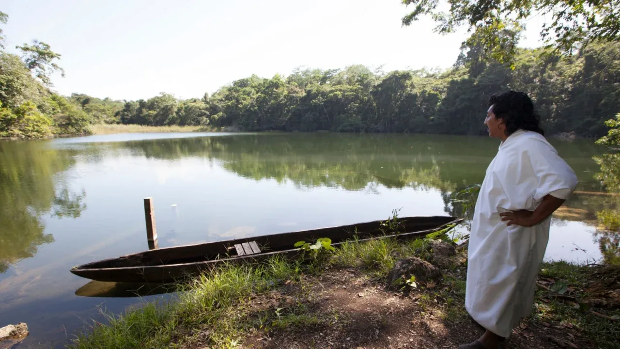 Empresas suspenden visitas turísticas a Selva Lacandona por presencia de cárteles