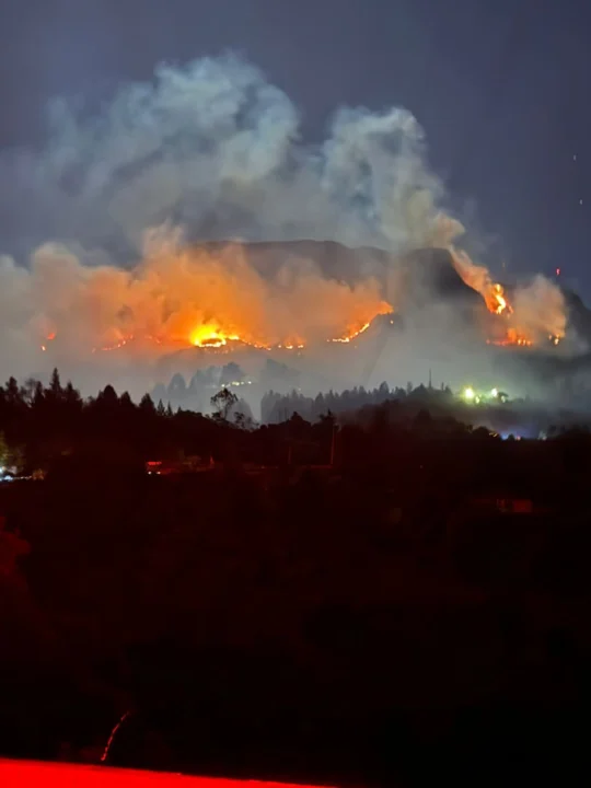 Declaran calamidad pública por incendios forestales en el centro de Colombia  
