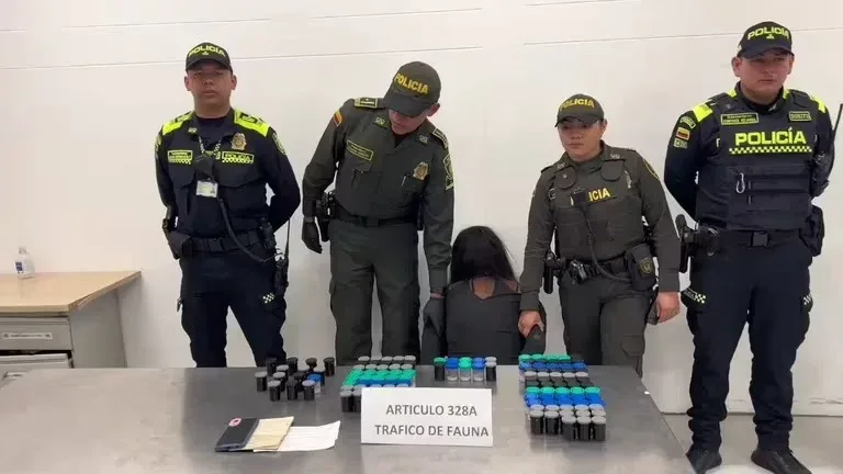 Detenida en el Dorado, Traficaba ranas venenosas a Panamá