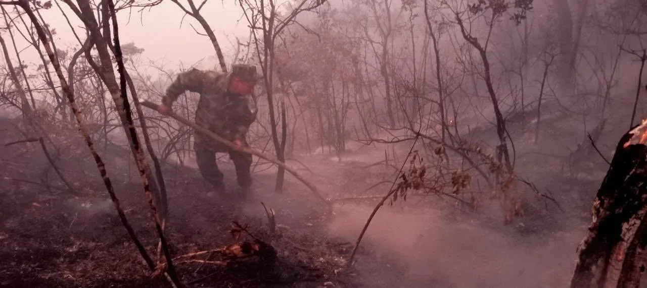 Se declara desastre natural en Colombia debido a los incendios forestales en el país  