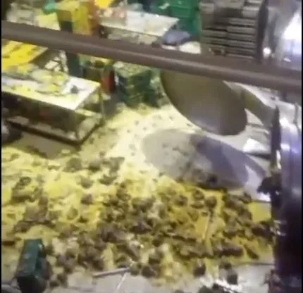 Fuerte explosión en caldera de tamales dejó ocho heridos de gravedad, en Bogotá