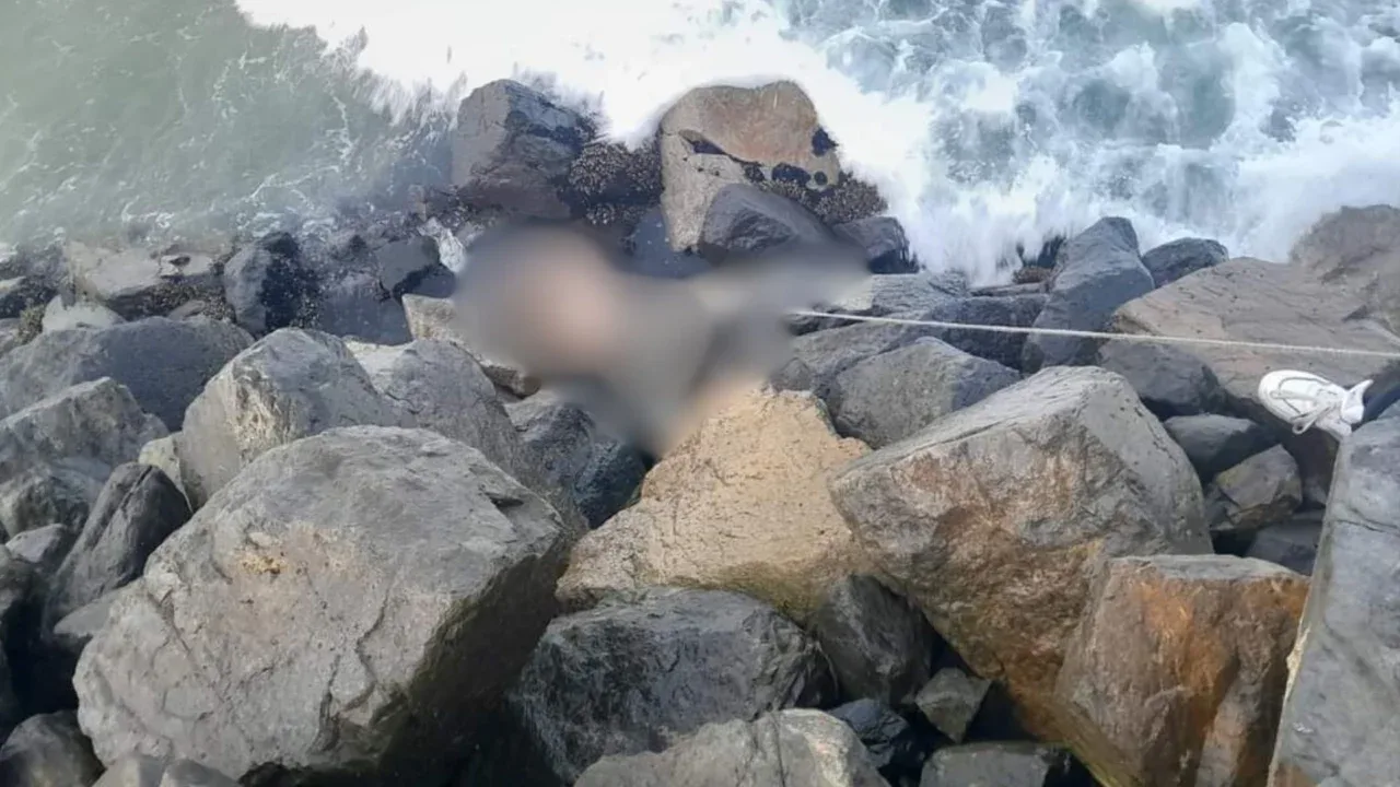 Así encontraron el cuerpo de uno de los siete militares desaparecidos en Ensenada