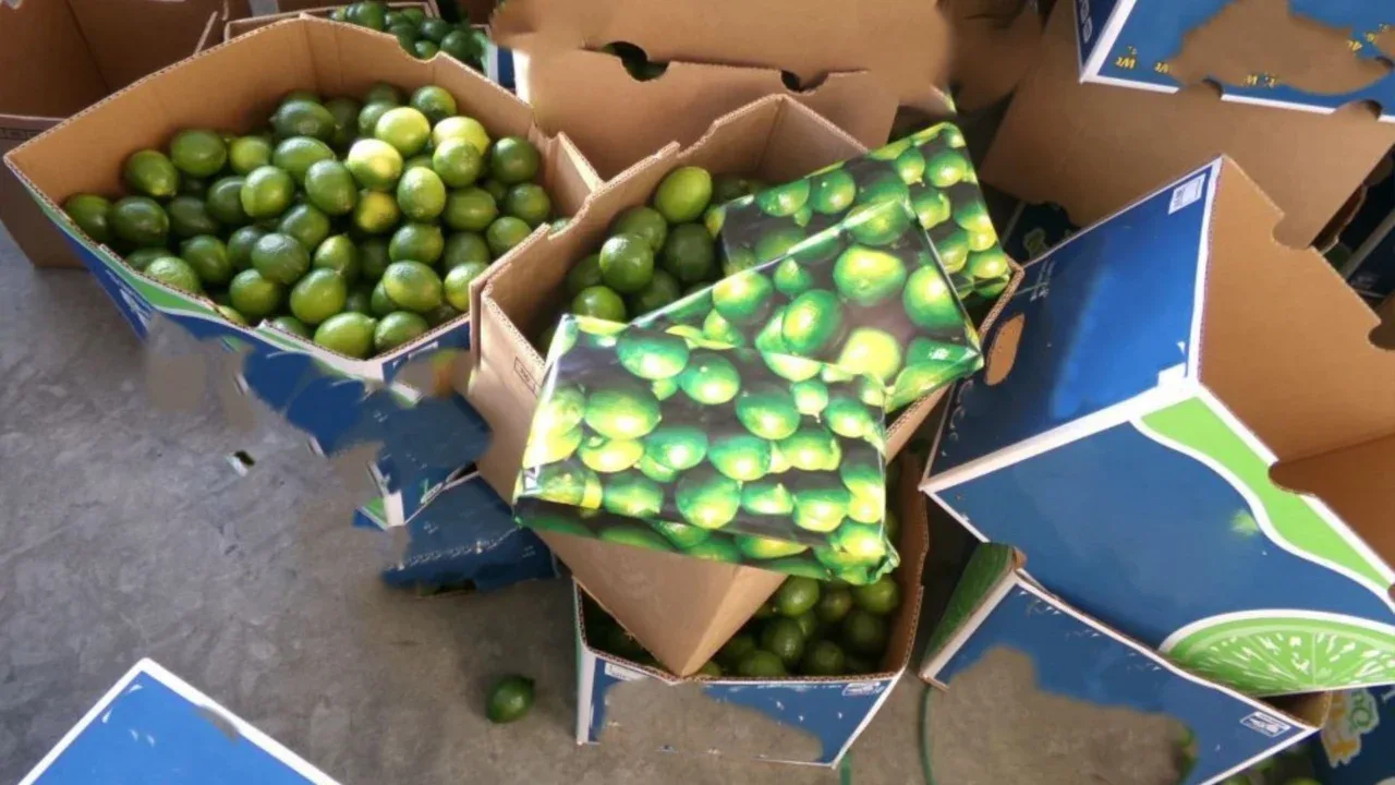 🍋Intentaron cruzar garita de Otay con paquetes de cocaína escondida entre limones