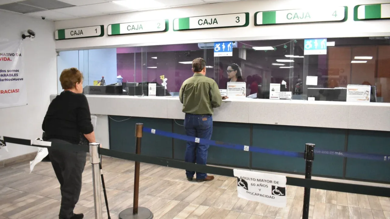 Qué requisitos necesitas para renovar la tarjeta de circulación; quedan pocos días con descuento
