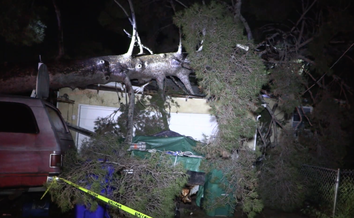 Afectados por las lluvias. Árbol destruye una casa y camioneta en San Diego