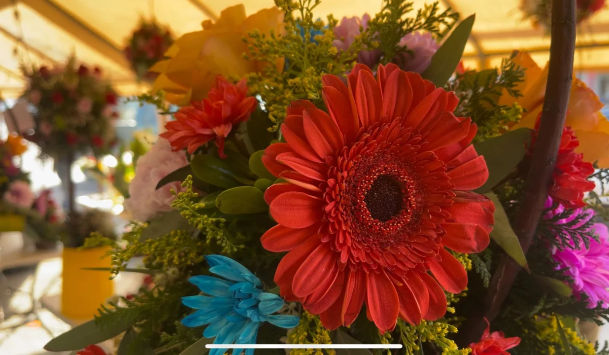 Reportan bajas Ventas en este día de San Valentín en Tijuana