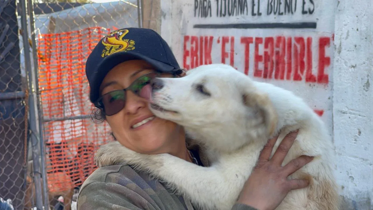 Incendian albergue de perros callejeros en la colonia Camino Verde de Tijuana