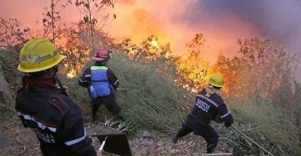 Incendio en el parque nacional Henri Pittier colapsó costa venezolana