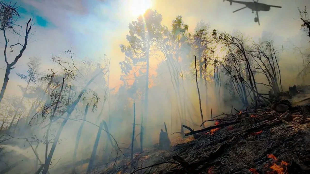 🔥Incendios forestales en México: Reportan 130 activos, miles de hectáreas afectadas y 5 muertos