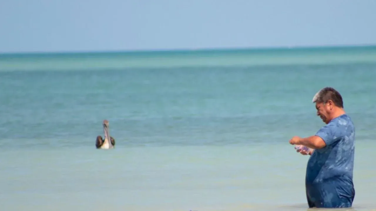 🏖️Playas para Semana Santa 2024: Estas son a las que sí puedes ingresar en BC 