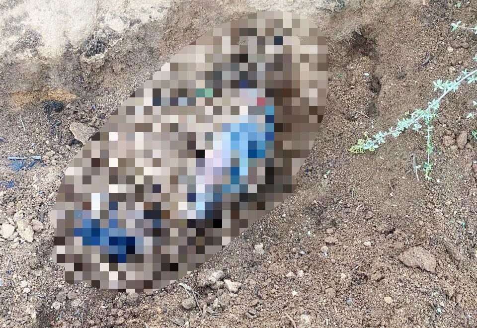 Localizan 4 cuerpo en fosas clandestinas en la colonia Delicias de Tijuana