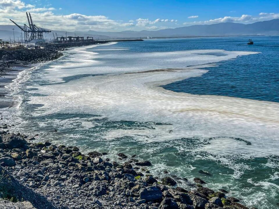Reportan contaminación en playas de Ensenada, amanecieron con espuma pestilente