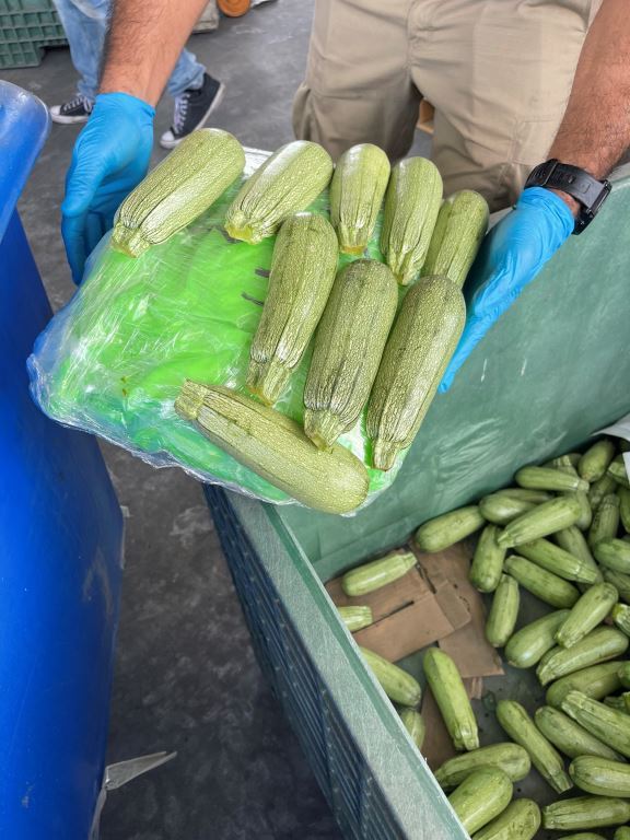 Decomisan metanfetamina oculta en calabazas con valor a $18 millones de dólares en cruce fronterizo de Otay Mesa