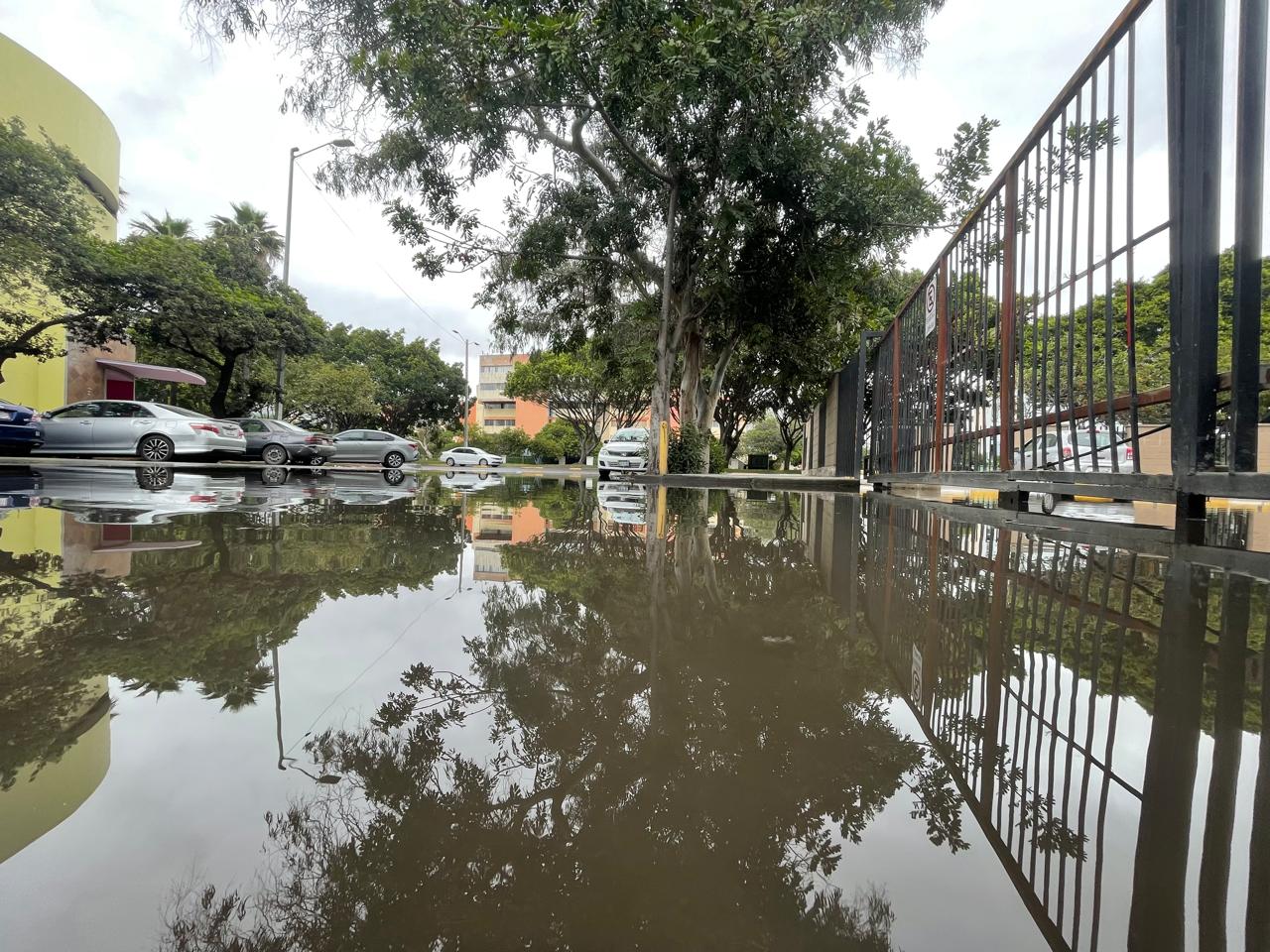 Fuga de aguas negras inunda calle Xavier Villaurrutia en la Zona Río de Tijuana