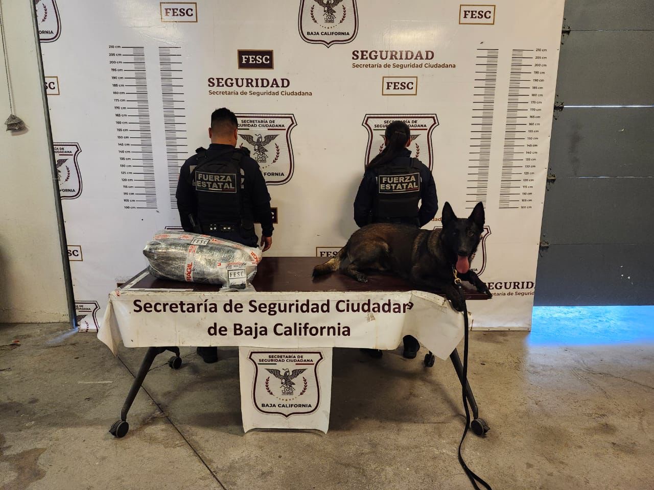 Detectan otro caso de “Mula Ciega” en Tijuana, eran más de 13 kilos de metanfetamina
