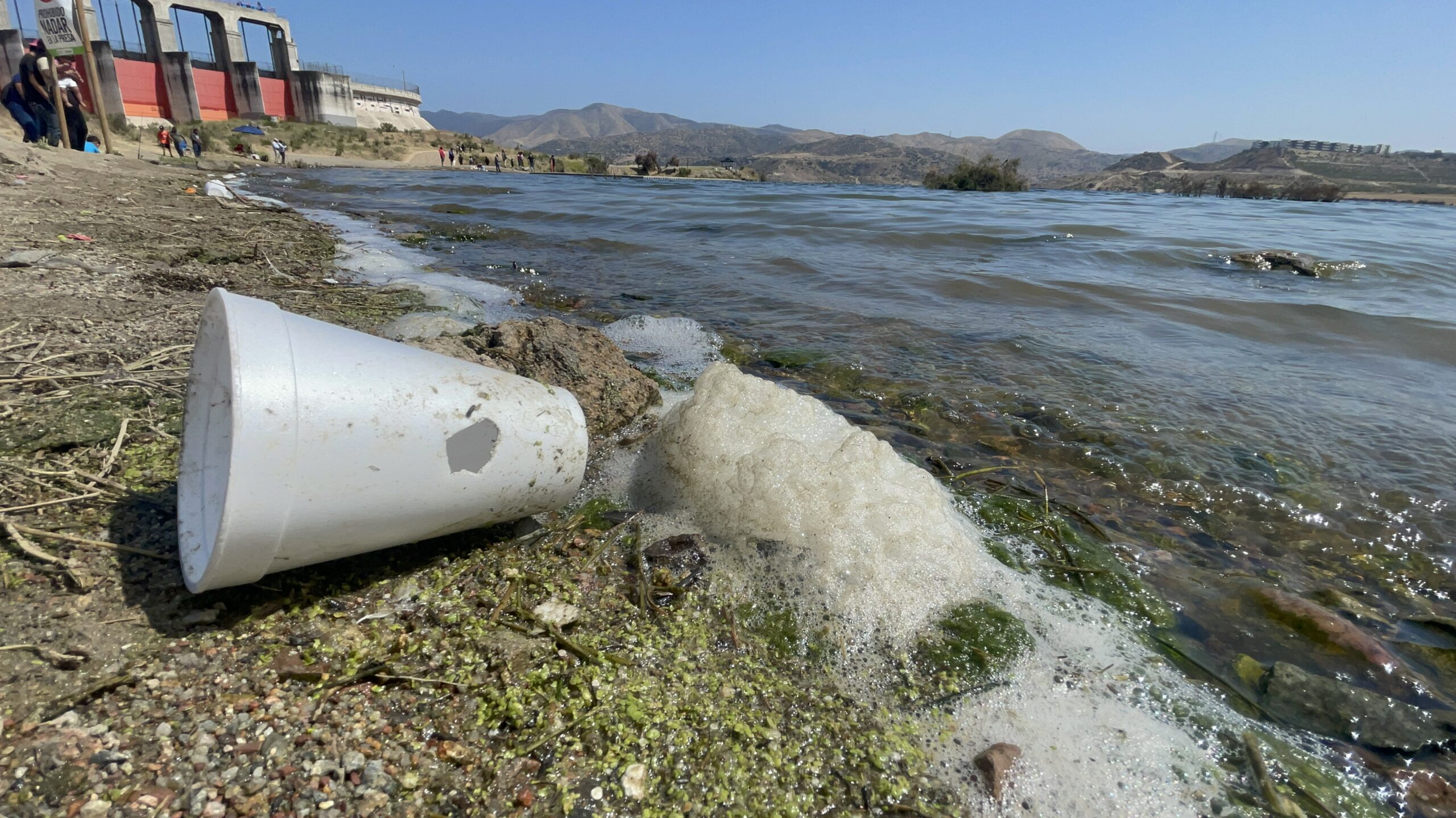 Contaminación en la Presa Abelardo L. Rodríguez de Tijuana: Una amenaza para el suministro de agua