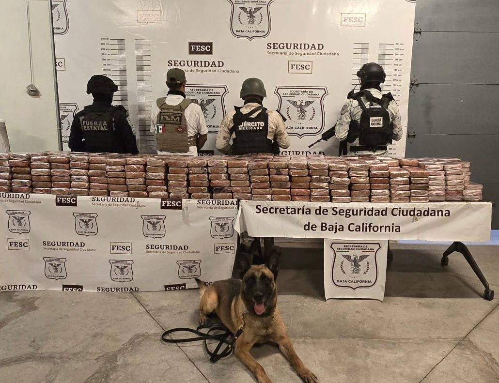Aseguran más de 400 kilogramos de cocaína en Tijuana
