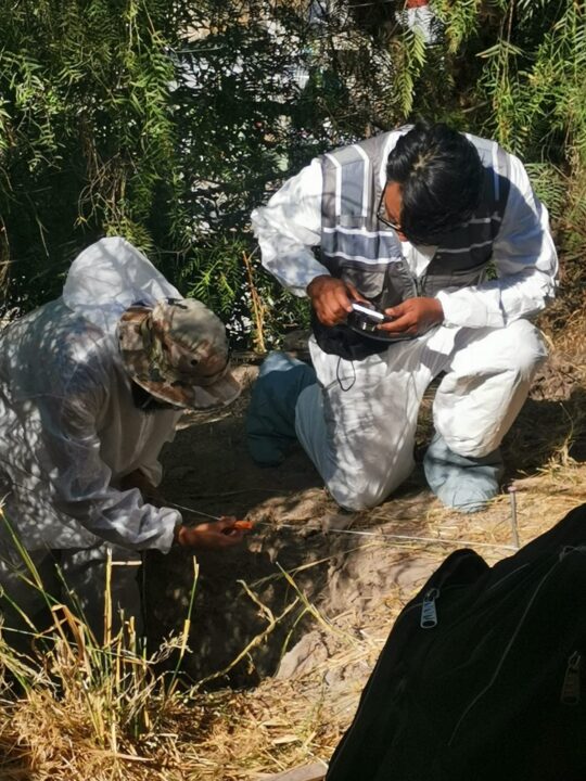 Localizan osamenta durante un operativo de cateo en la colonia Camino Verde