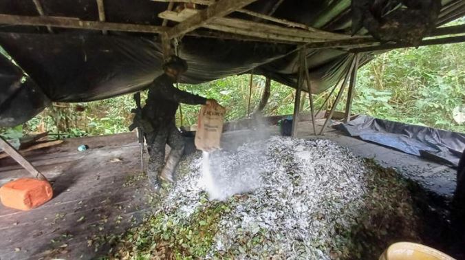 Disidentes de las FARC producían seis toneladas de cocaína en la selva del Cauca
